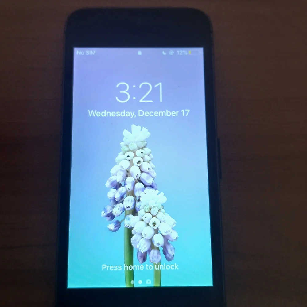 Apple unlocked vintage